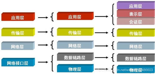 Python中的异常处理与套接字编程实战 信息处理与存储支持服务